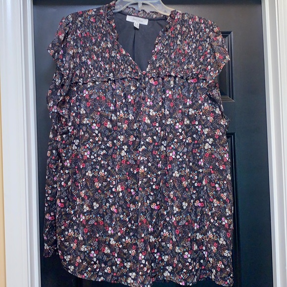 Haver + Blair women’s size 2X lined blouse EUC - Picture 1 of 7